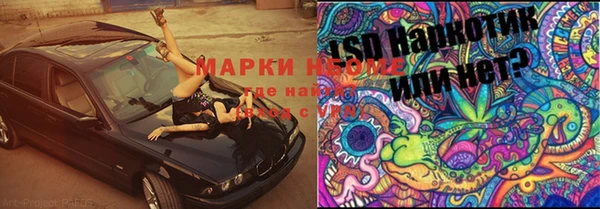 стафф Киренск