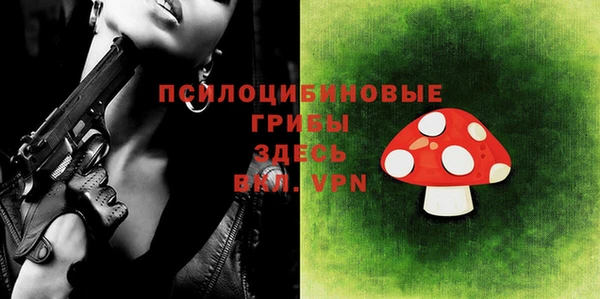 герыч Кинешма