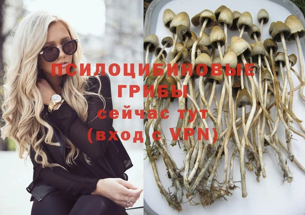 стафф Киренск